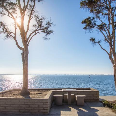 Trees, water, and picnic table at Chula Vista Bayside Park at the Port of San Diego