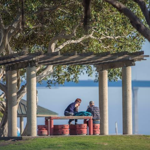People sitting at a picnic table under the trees at Embarcadero Marina Park North at the Port of San Diego