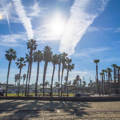 Palm trees, sunny blue skies, wisps of clouds, and sand at Portwood Pier Plaza at the Port of San Diego