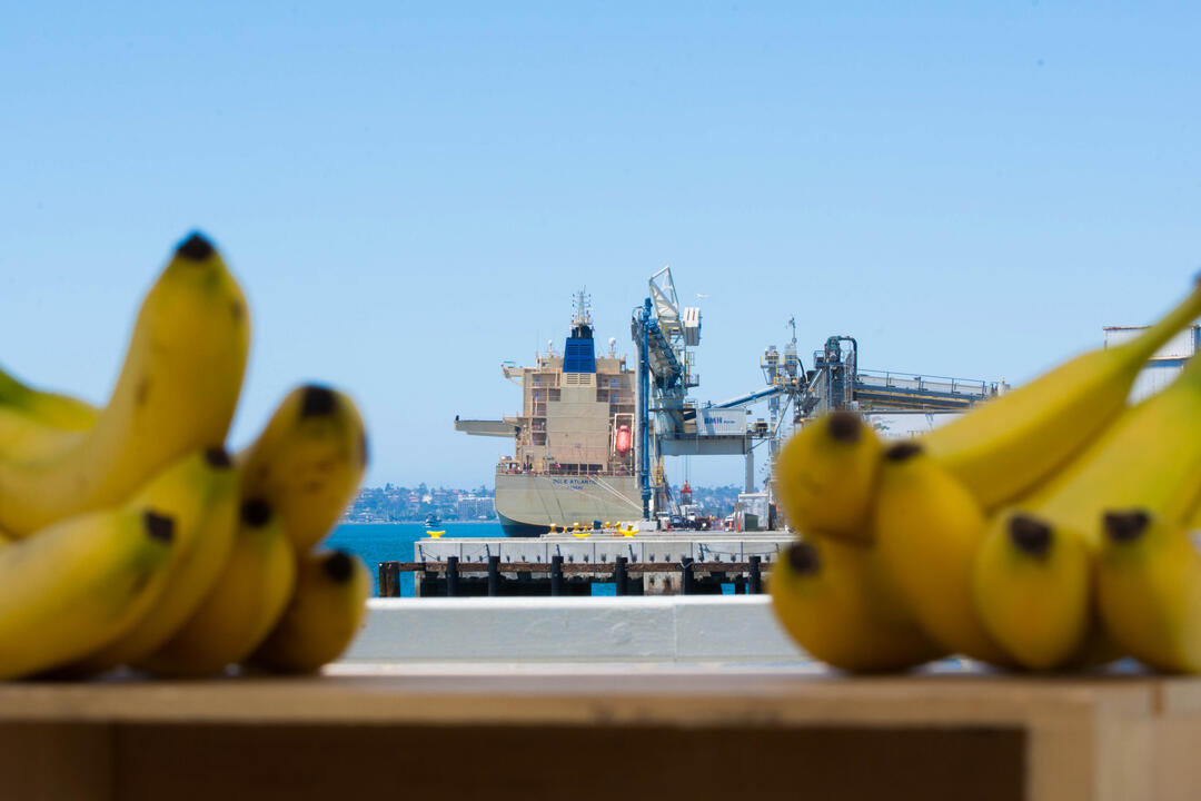 Maritime Port of San Diego