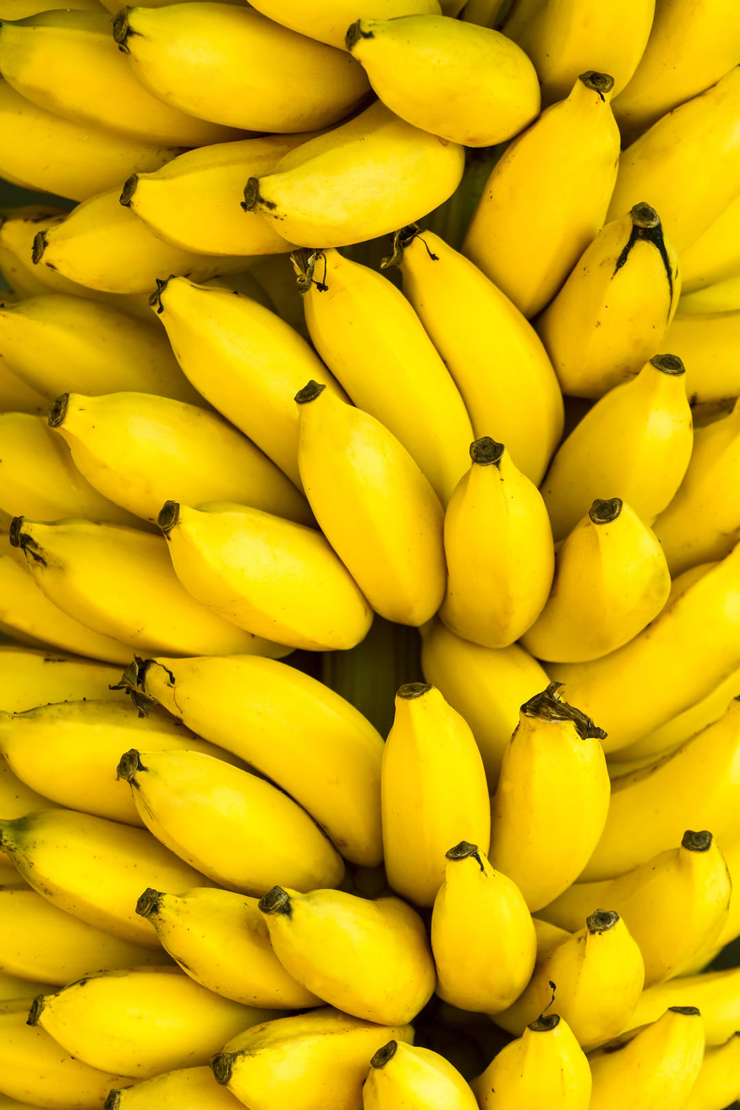 Bananas