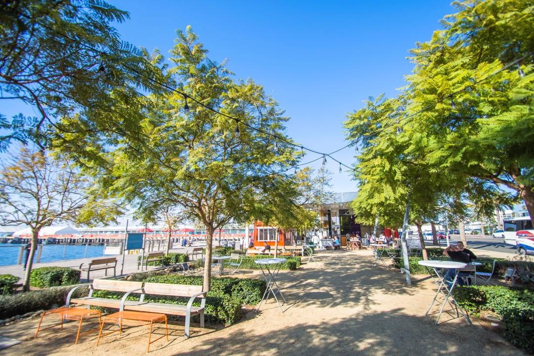 Trees, benches, tables, and string lights at Broadway Plaza Park at the Port of San Diego