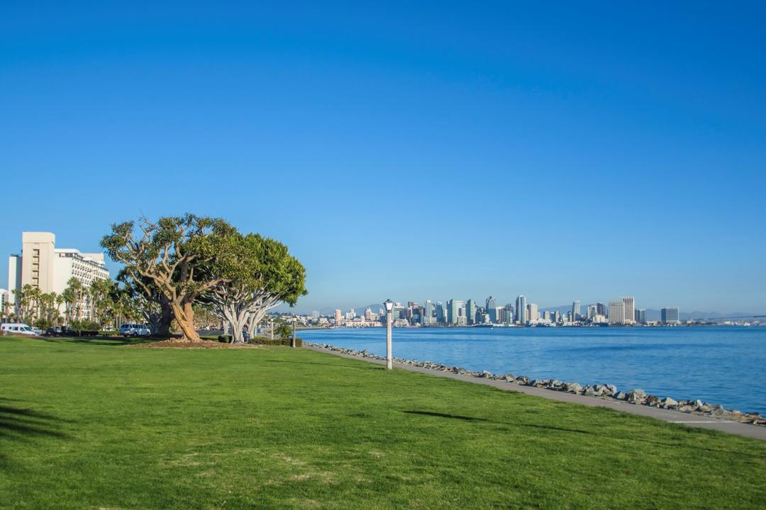 Harbor Island Park looking over the green grass to the blue water of the San Diego Bay