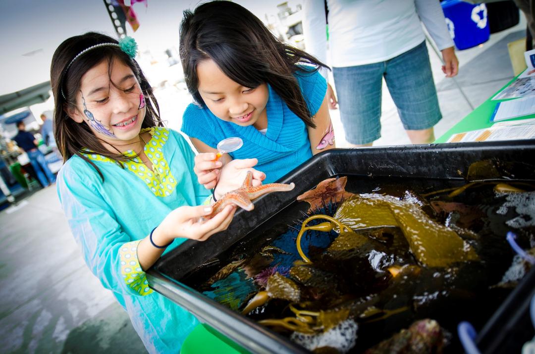 two children look at sea-life in a tank