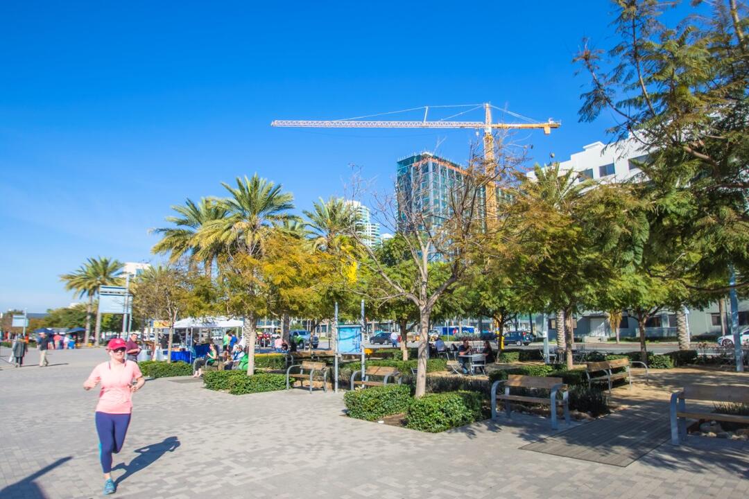 Benches and trees at Broadway Plaza at the Port of San Diego