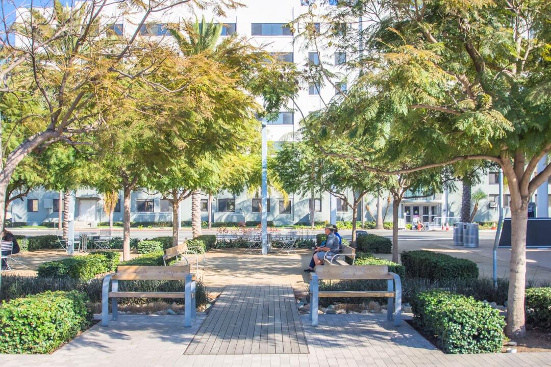 Benches and trees at Broadway Plaza at the Port of San Diego