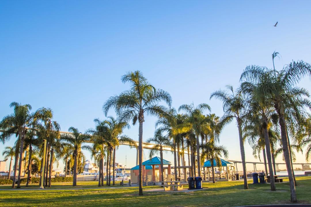 Trees, grass, tables, and a view of Coronado Bridge at Cesar Chavez Park at the Port of San Diego