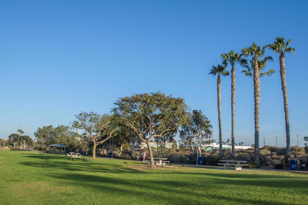 Trees, tables, and grass at Chula Vista Marina View Park at the Port of San Diego