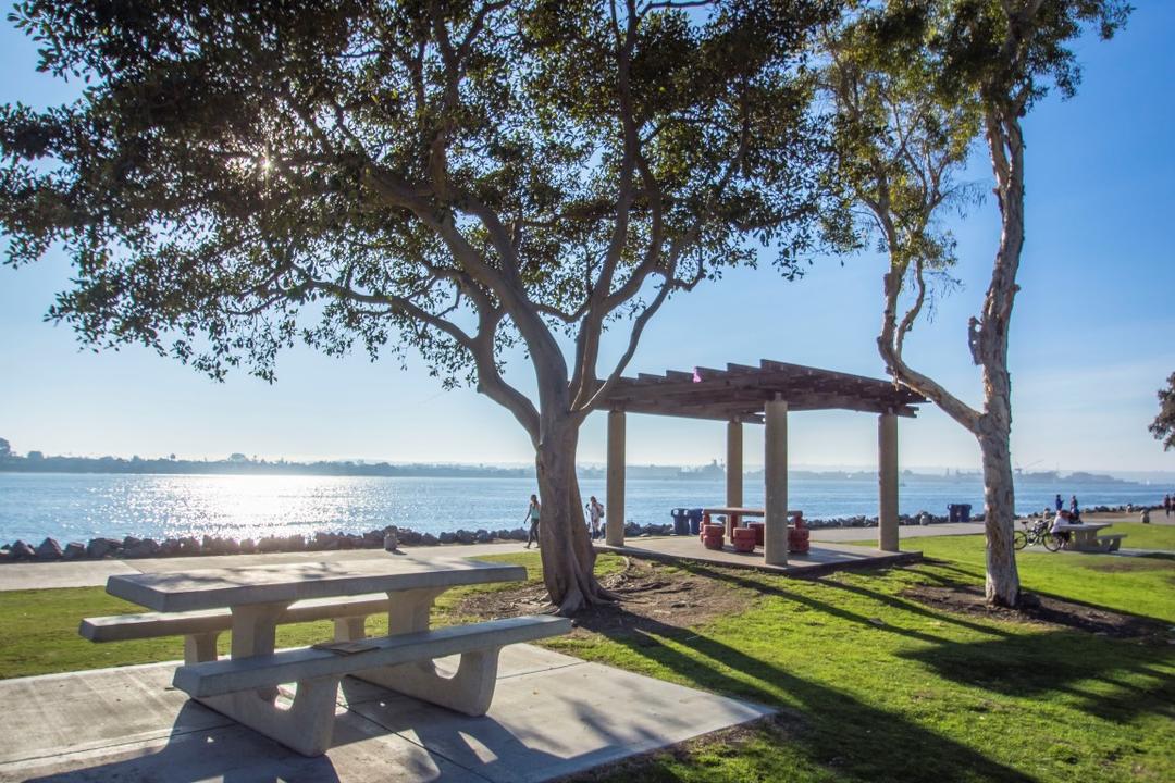 Picnic tables and trees at Embarcadero Marina Park North at the Port of San Diego