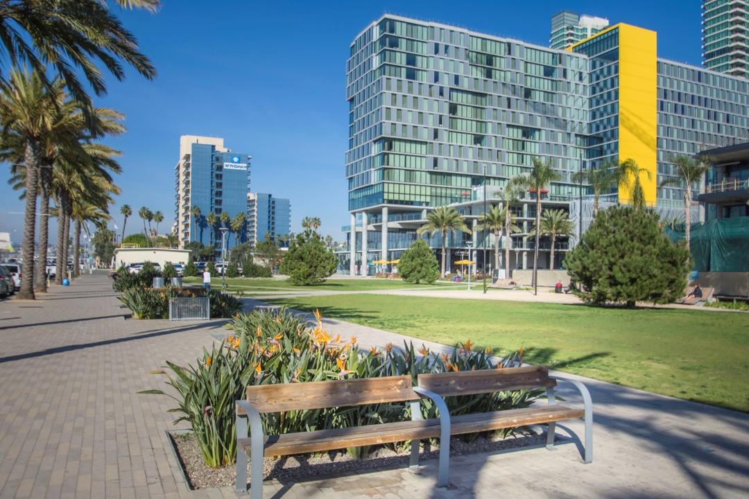 Benches, flowers, grass, trees, and path at Lane Field Park at the Port of San Diego