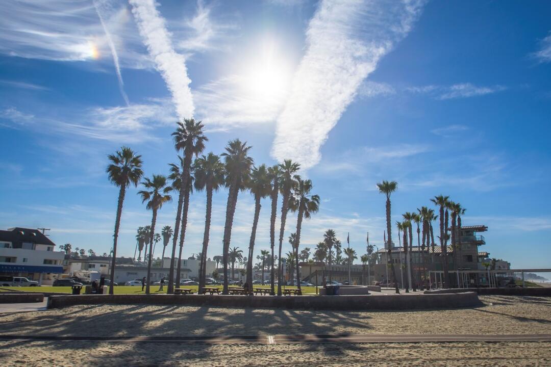 Palm trees, sunny blue skies, wisps of clouds, and sand at Portwood Pier Plaza at the Port of San Diego