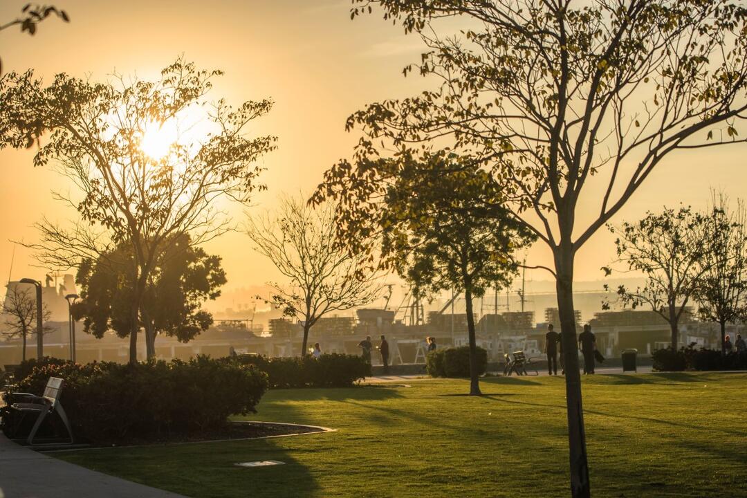 Trees and grass with orange-yellow skies at Ruocco Park at the Port of San Diego