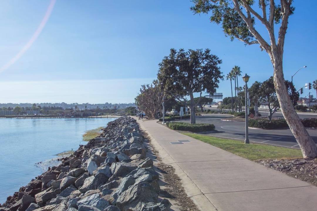 Tree-lined path along the water at Spanish Landing Park at the Port of San Diego