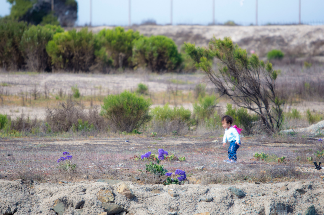 a child walks along the bayfront at an environmental cleanup event