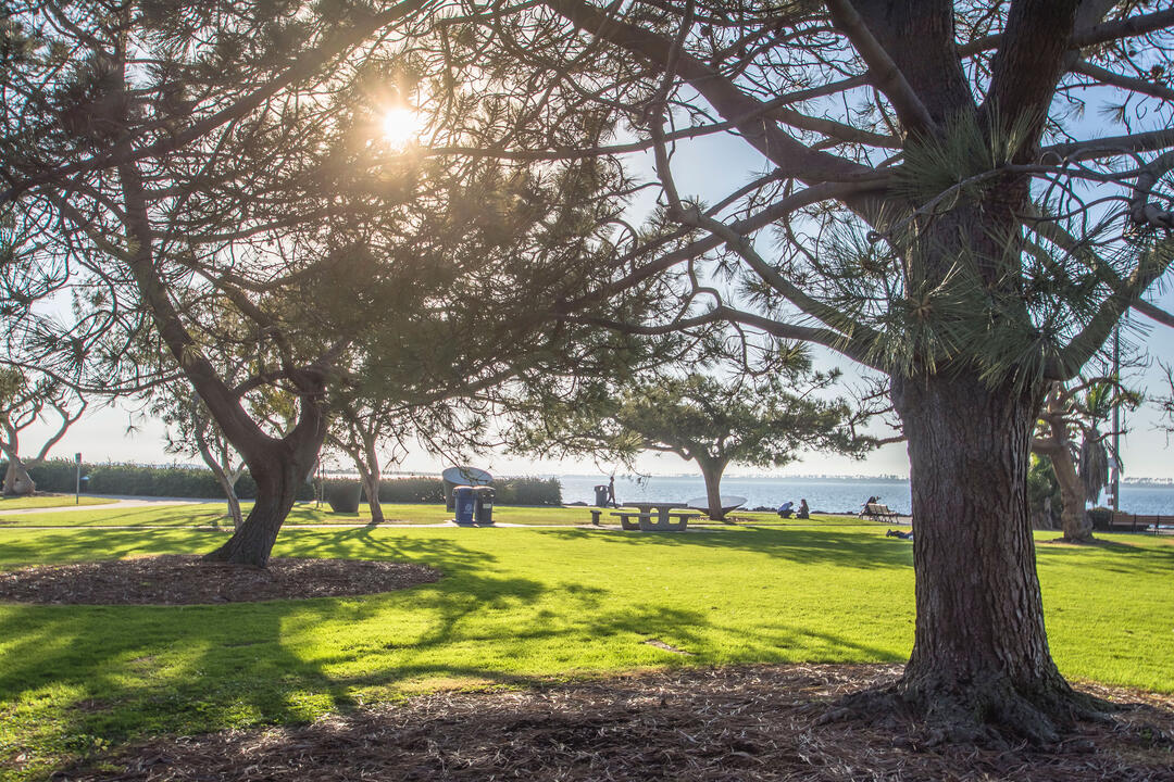 Chula Vista Bayfront Park green grass and trees