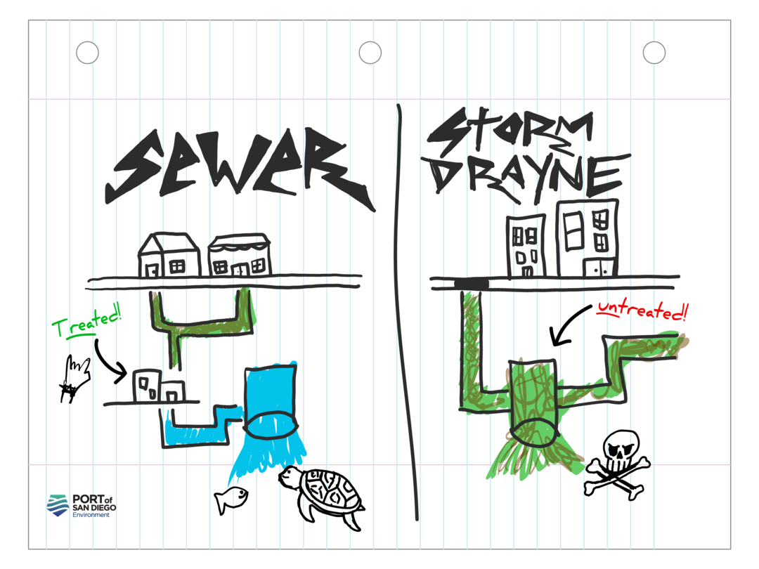 An illustration showing the difference between sewer and storm drains. Sewer drains lead to treatment facilities and storm drains lead into the bay.