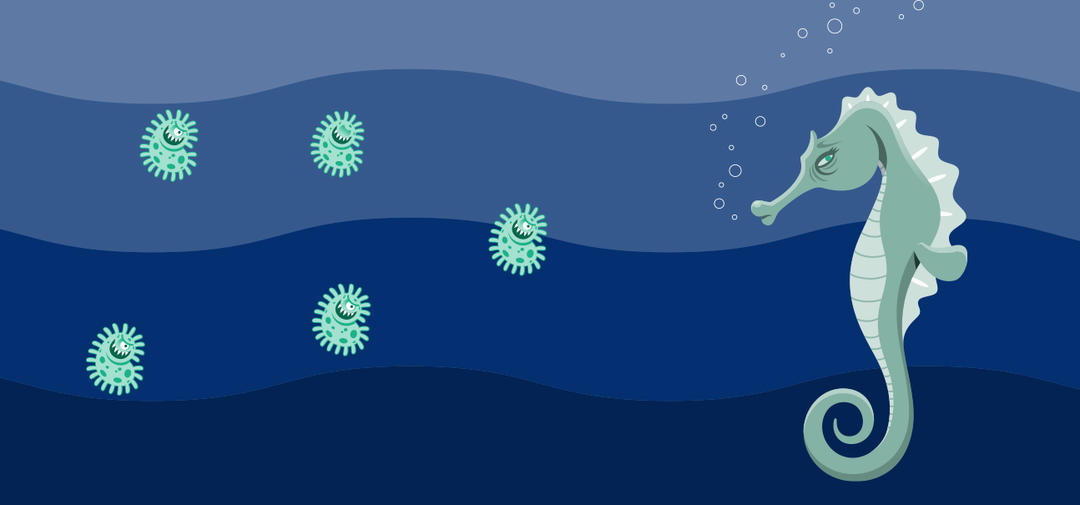 a cartoon seahorse is sickened by bacteria from dog poop
