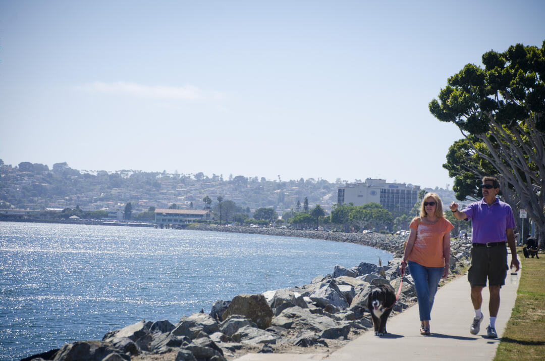 a couple walks their dog along the water of the San Diego Bay