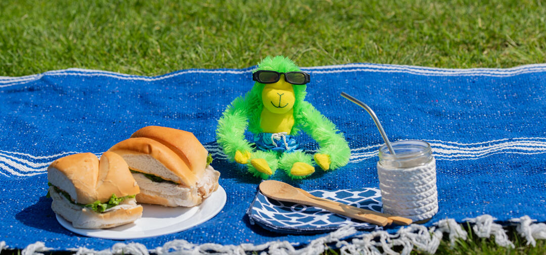 Hang on Hank at a zero waste picnic with a sandwich and re-usable items