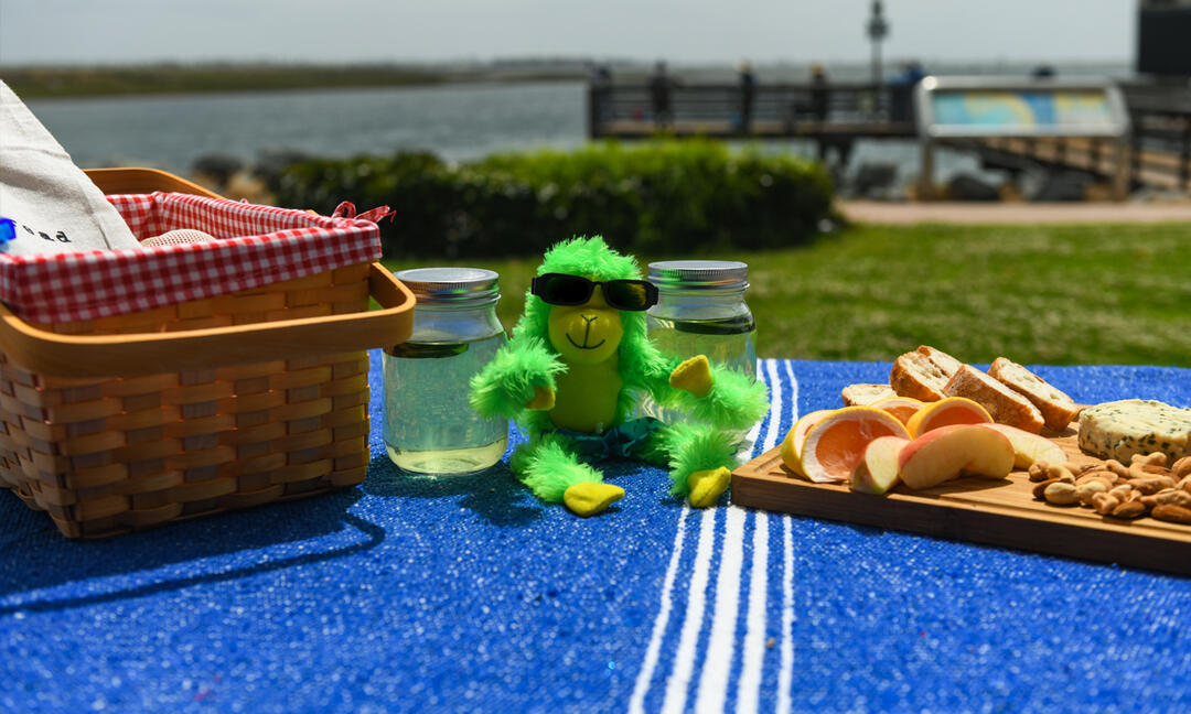 Han on Hank - a green monkey - is on a blanket with a picnic basket