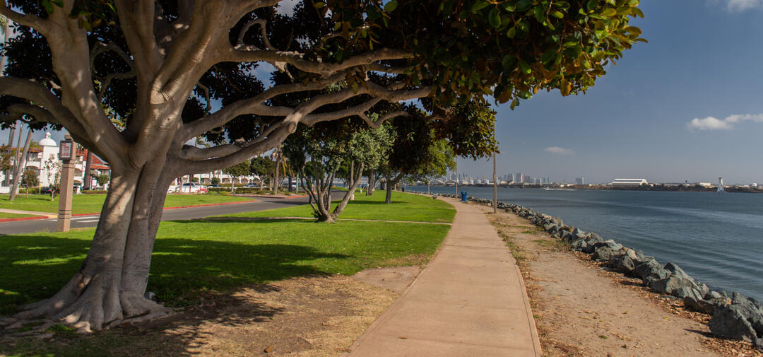 Views of San Diego Bay from Shelter Island Shoreline Park