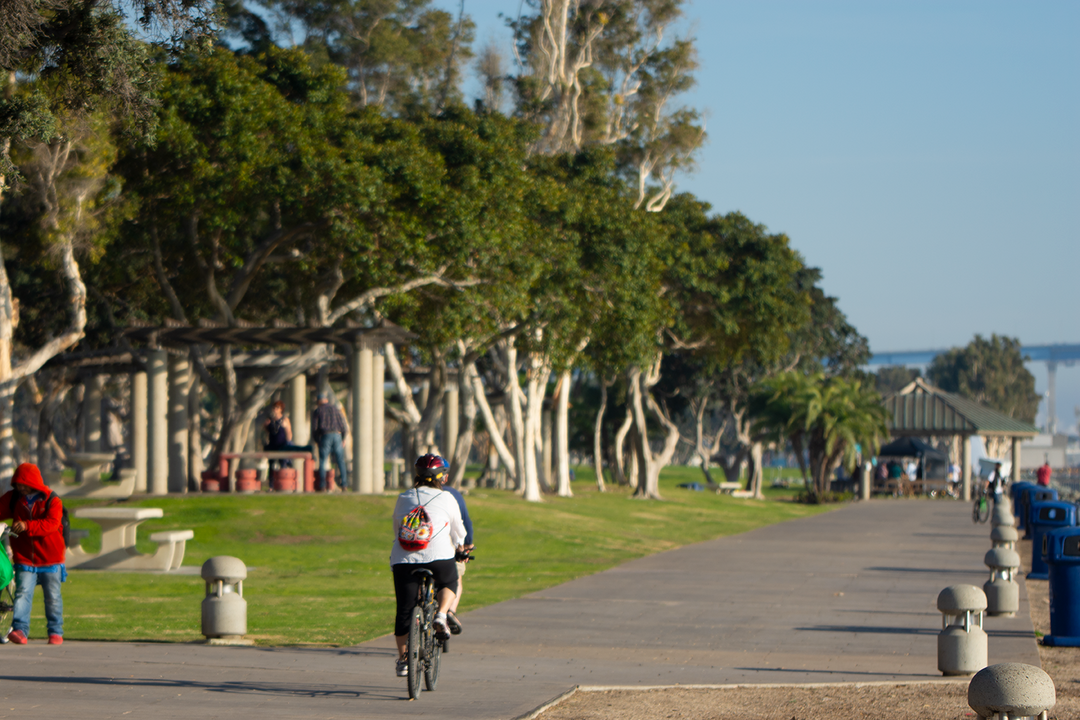 person on bike riding away from viewer on a path next to San Diego bay
