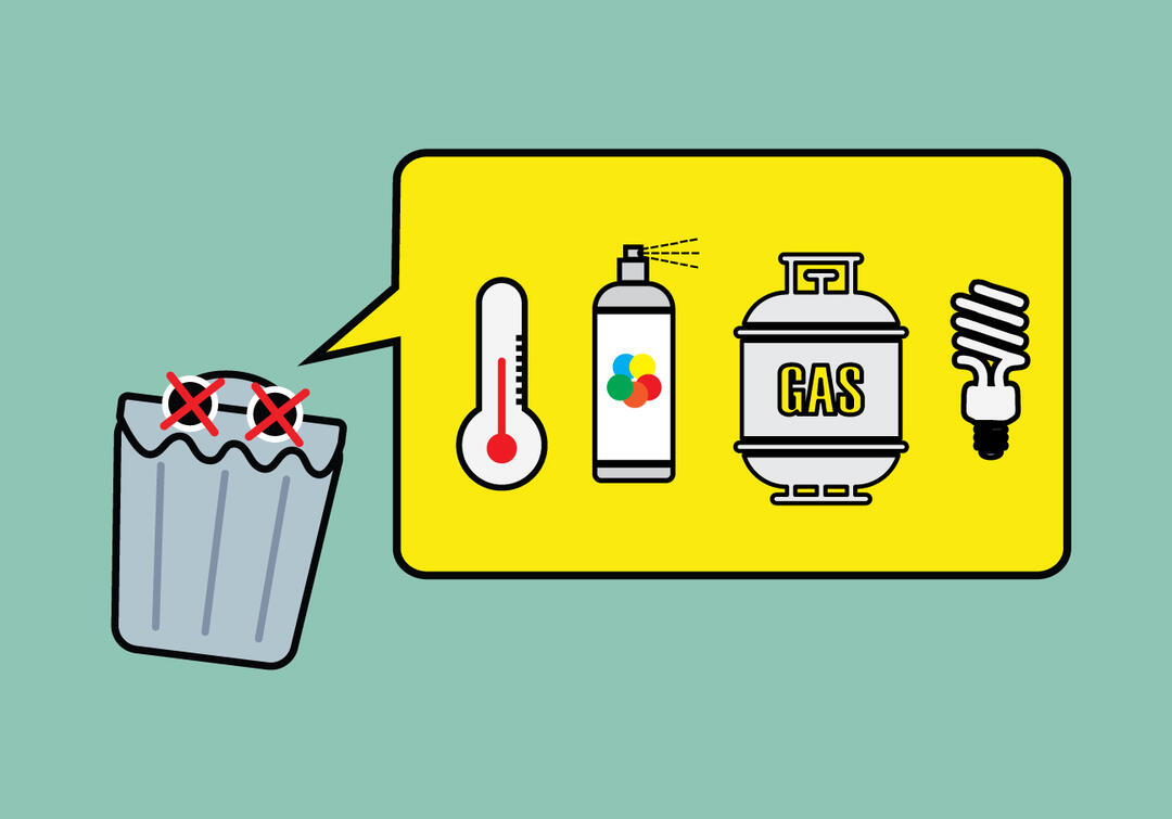 ThatsMyBay graphic depicting various Household Hazardous Waste icons