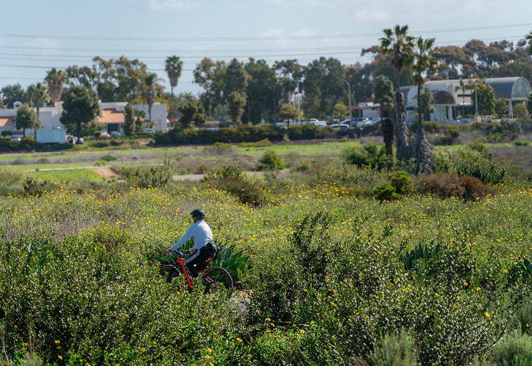 Cyclist along Port of San Diego Sweetwater Path