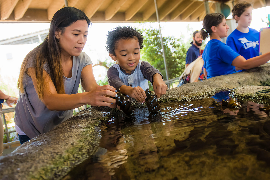 Visitors at Living Coast Discovery Center