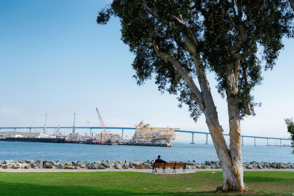 Person sitting on bench in park looking at San Diego Bay.