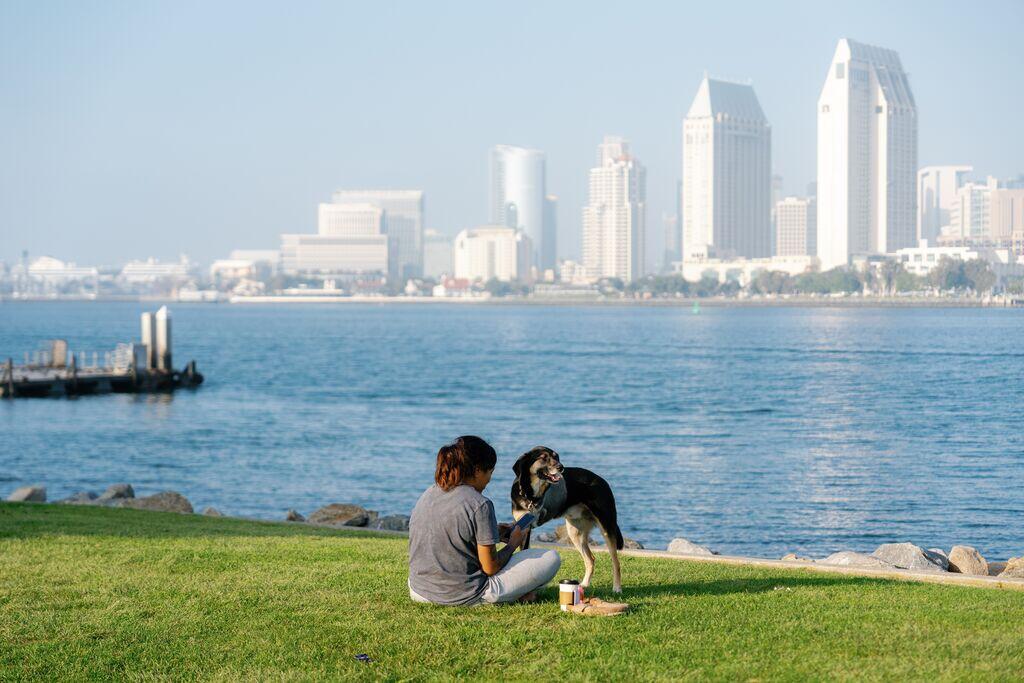 a girl and her dog on green grass overlooking the blue water of the San Diego Bay