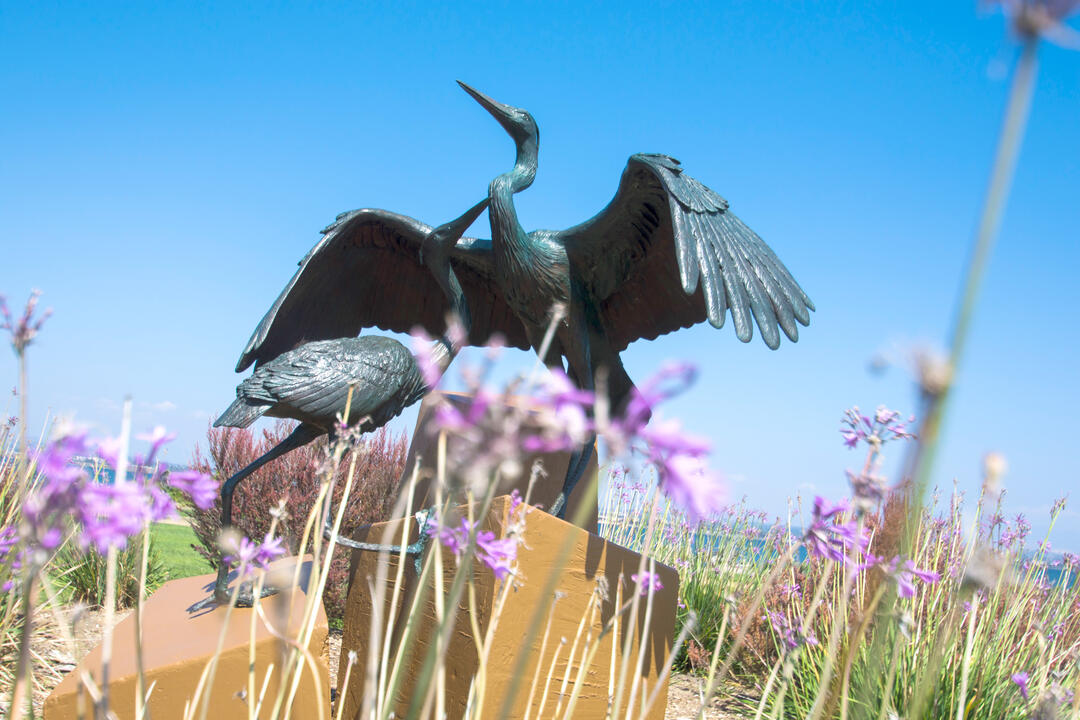 Grand Caribe Shoreline Park Christopher Slatoff, Sheltering Wings. 1996