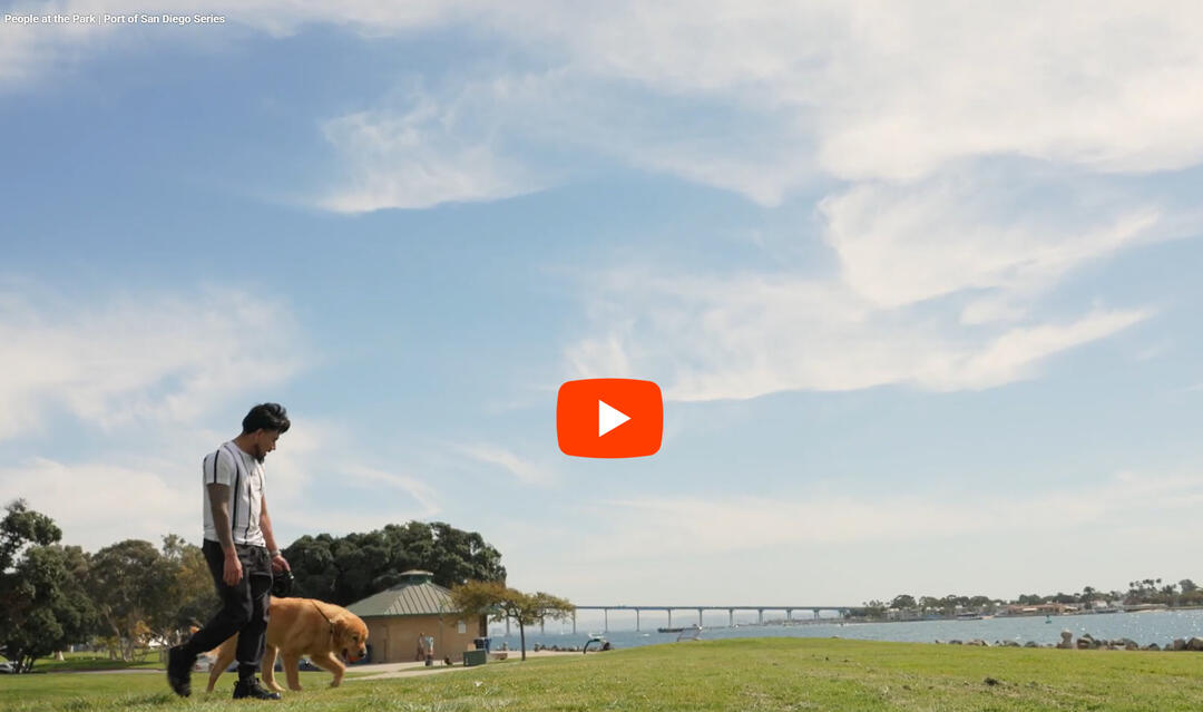 A graphic that indicates click to play a video