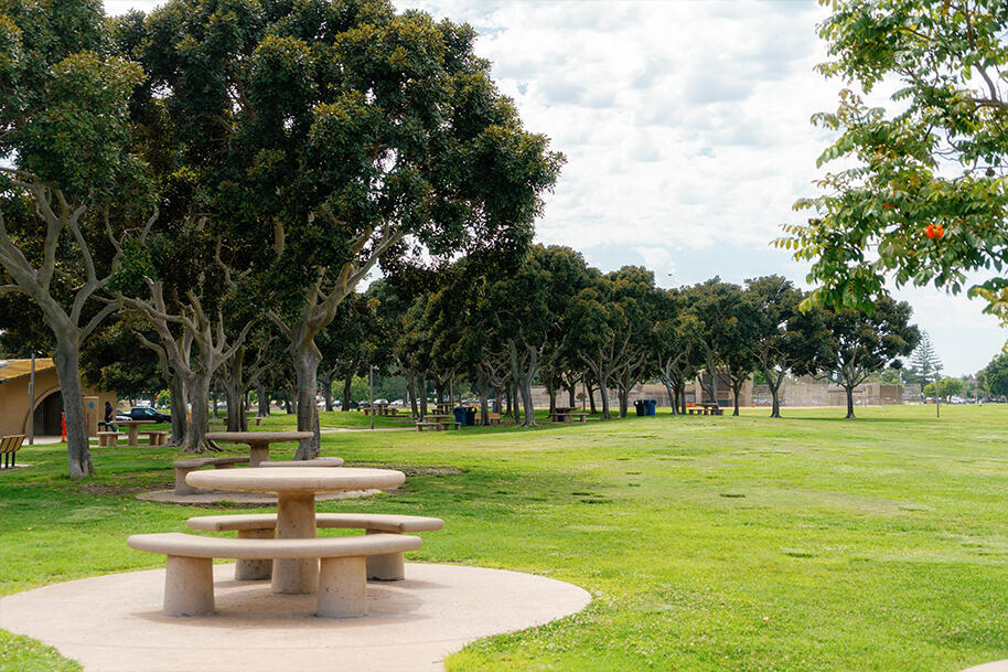 picnic table surrounded by grass and trees