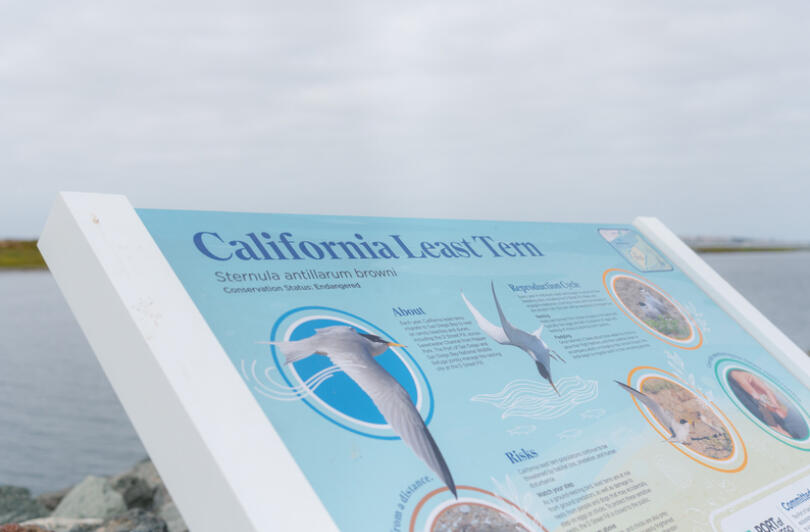 Interpretive signage found at Pepper Park