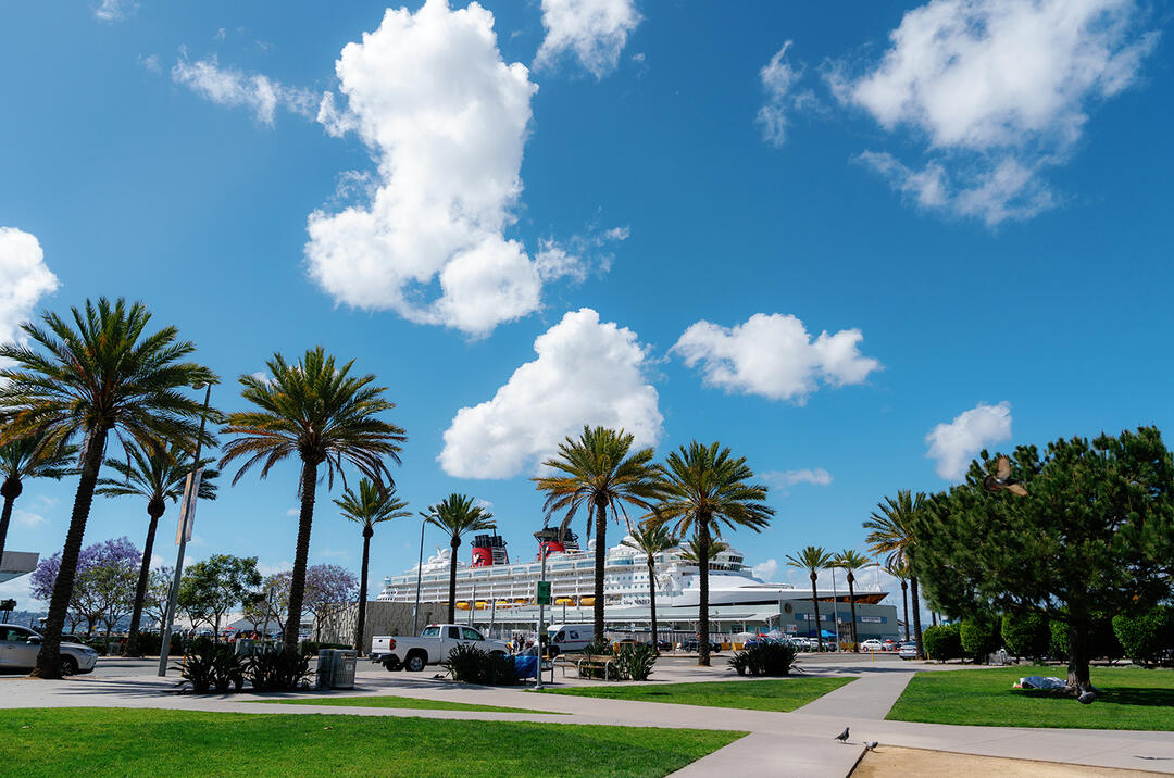Lane Field Park - view of cruise ship