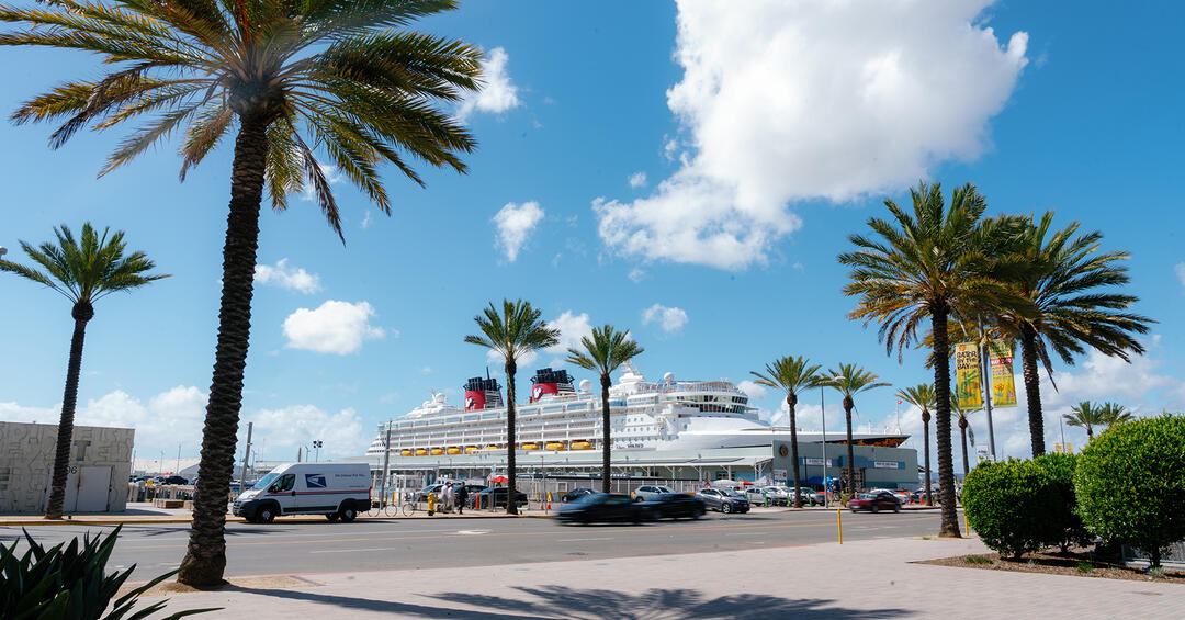 Cruise ship seen from Lane Field