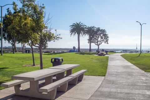 Picnic tables surrounded by green grass and trees along the path at Pepper Park at the Port of San Diego