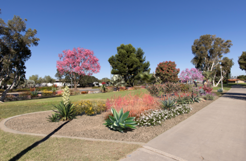 Rendering of landscaping work to be completed at Spanish Landing Park West along promenade looking east.