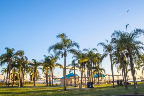 Cesar chavez park 