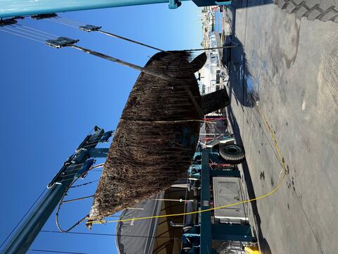 Boat being lifted from water