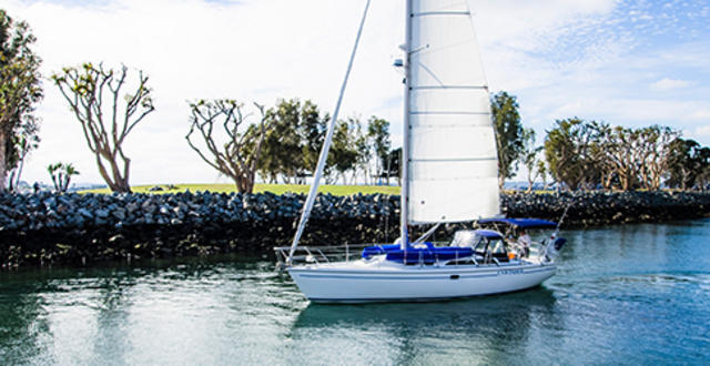 Sailing on the San Diego Bay Thumbnail