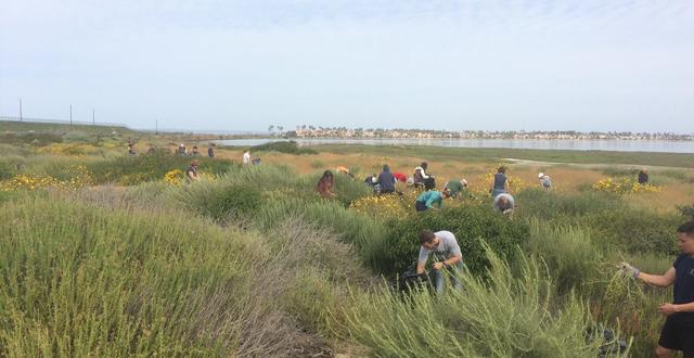Environment clean up event on the Port of San Diego Tidelands