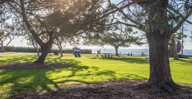 Chula Vista Bayfront Park green grass and trees