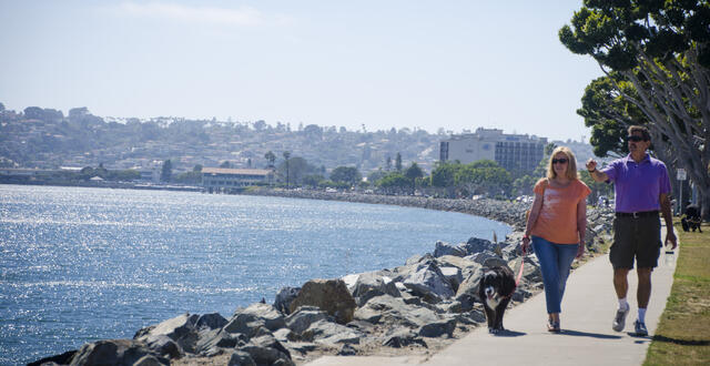 a couple walks their dog along the water of the San Diego Bay
