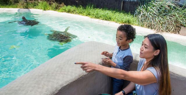 Living Coast Discovery Center