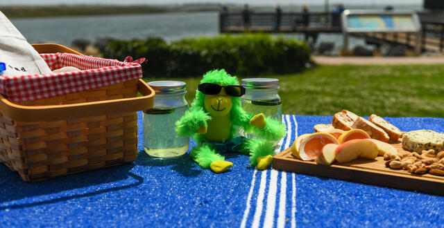 Han on Hank - a green monkey - is on a blanket with a picnic basket