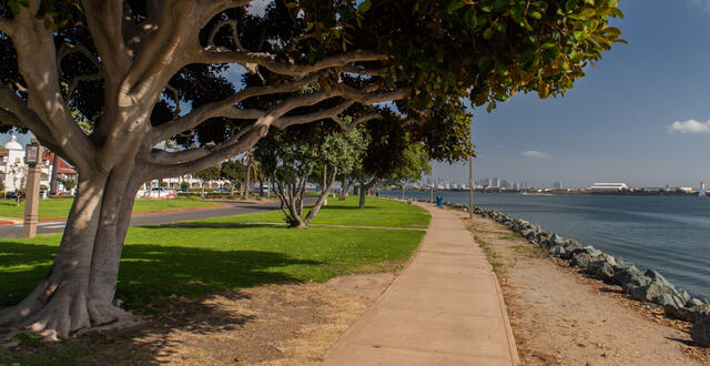 Views of San Diego Bay from Shelter Island Shoreline Park