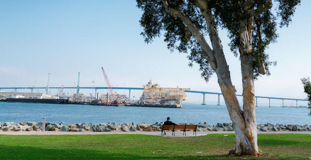 Person sitting on bench in park looking at San Diego Bay.