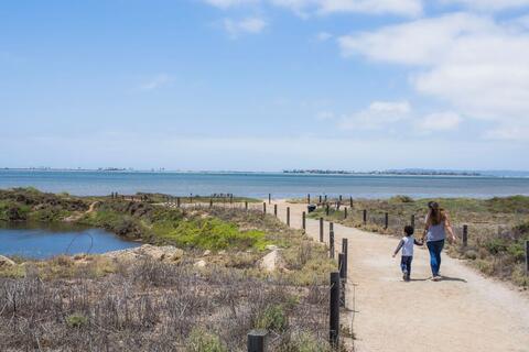 Living Coast Discovery Center Path